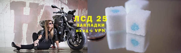 ГАЛЛЮЦИНОГЕННЫЕ ГРИБЫ Покровск