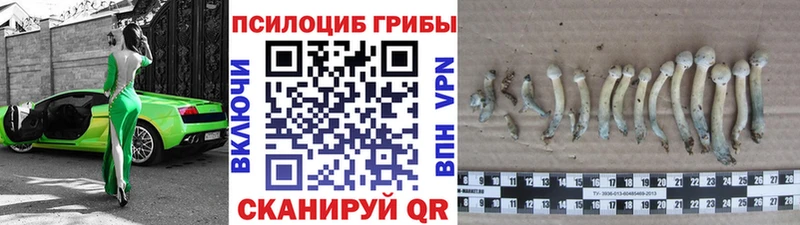 Галлюциногенные грибы мухоморы  магазин    Шлиссельбург 